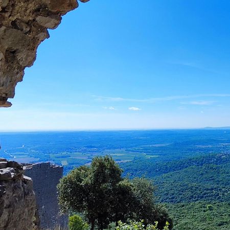 Le Castellas Du Pic St Loup Saint-Mathieu-de-Tréviers Exteriér fotografie