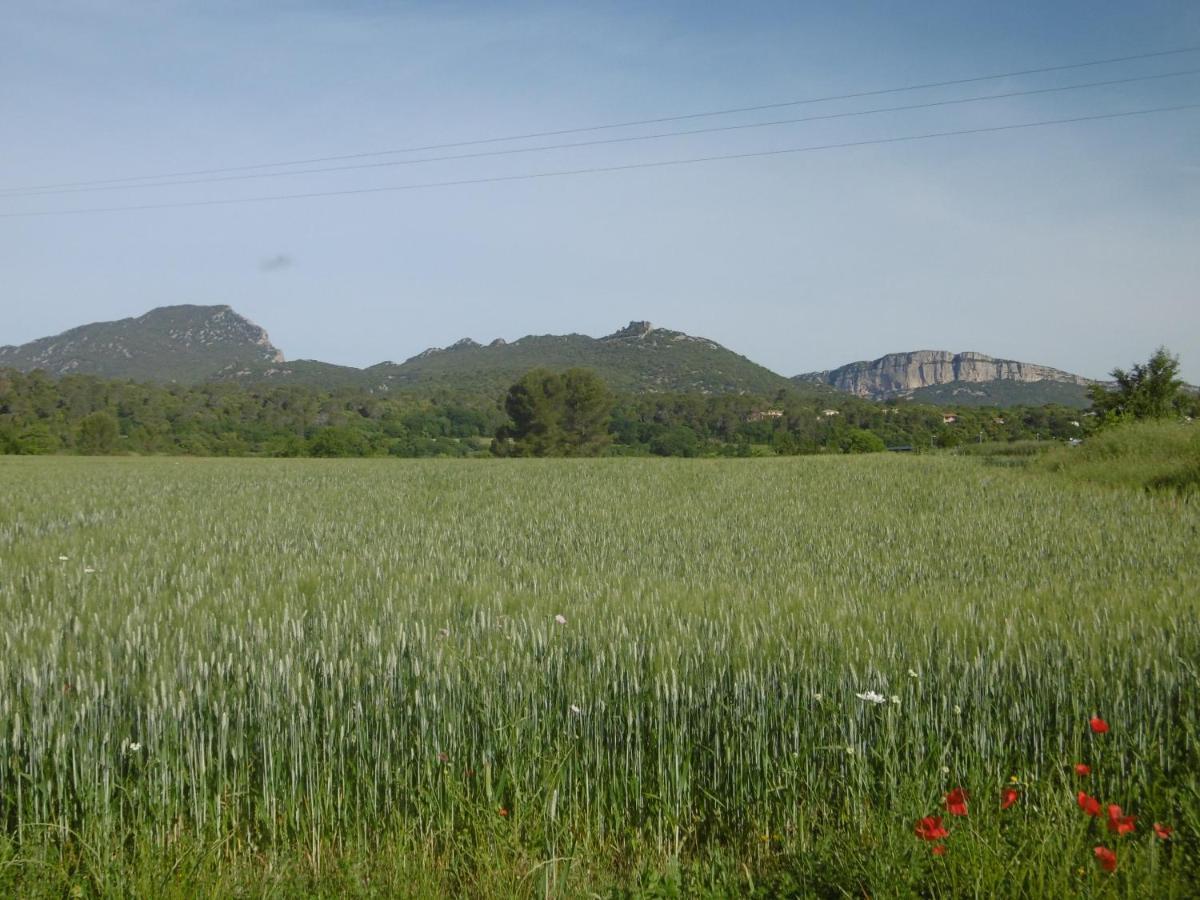 Le Castellas Du Pic St Loup Saint-Mathieu-de-Tréviers Exteriér fotografie