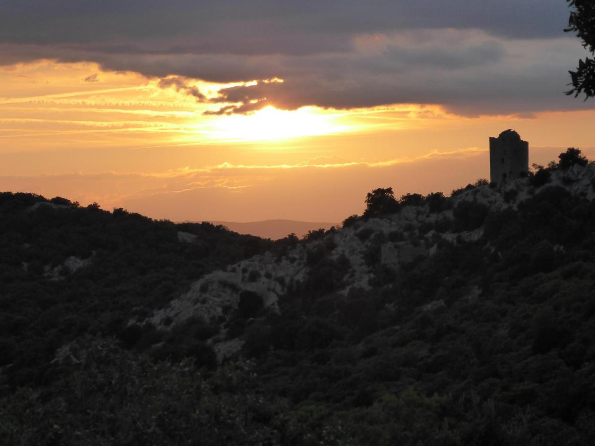 Le Castellas Du Pic St Loup Saint-Mathieu-de-Tréviers Exteriér fotografie