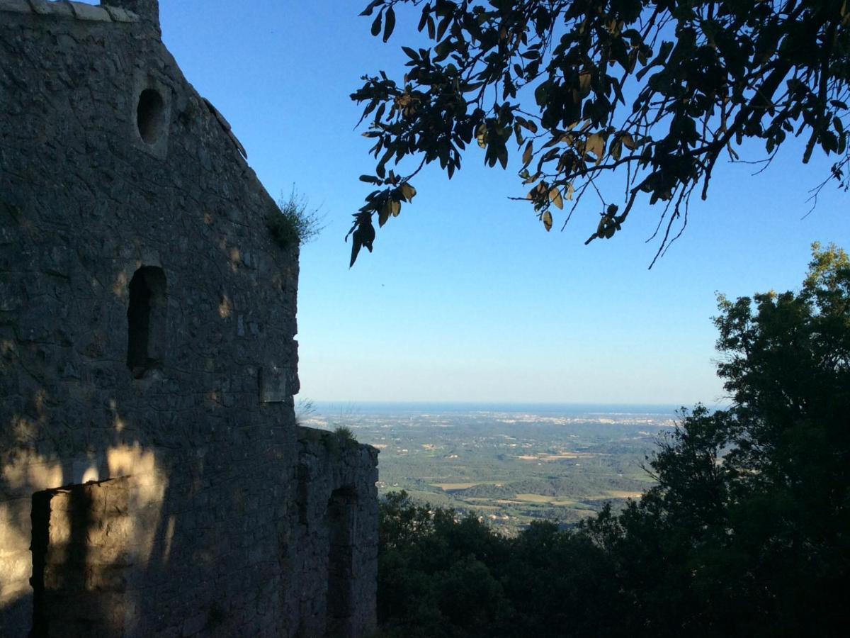 Le Castellas Du Pic St Loup Saint-Mathieu-de-Tréviers Exteriér fotografie