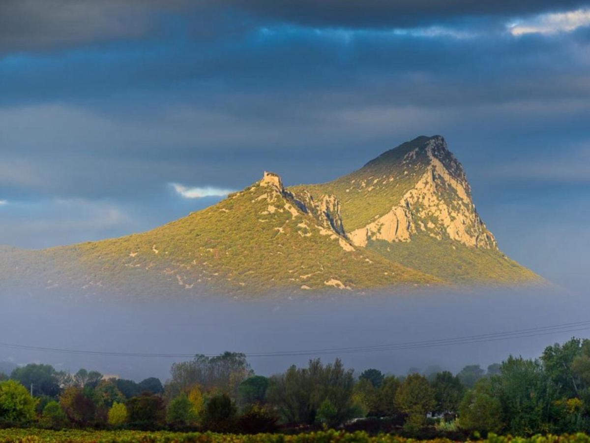 Le Castellas Du Pic St Loup Saint-Mathieu-de-Tréviers Exteriér fotografie