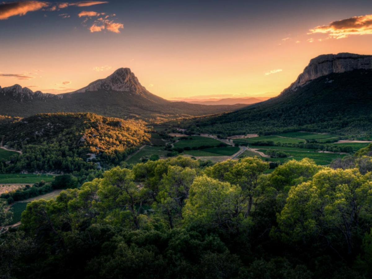 Le Castellas Du Pic St Loup Saint-Mathieu-de-Tréviers Exteriér fotografie