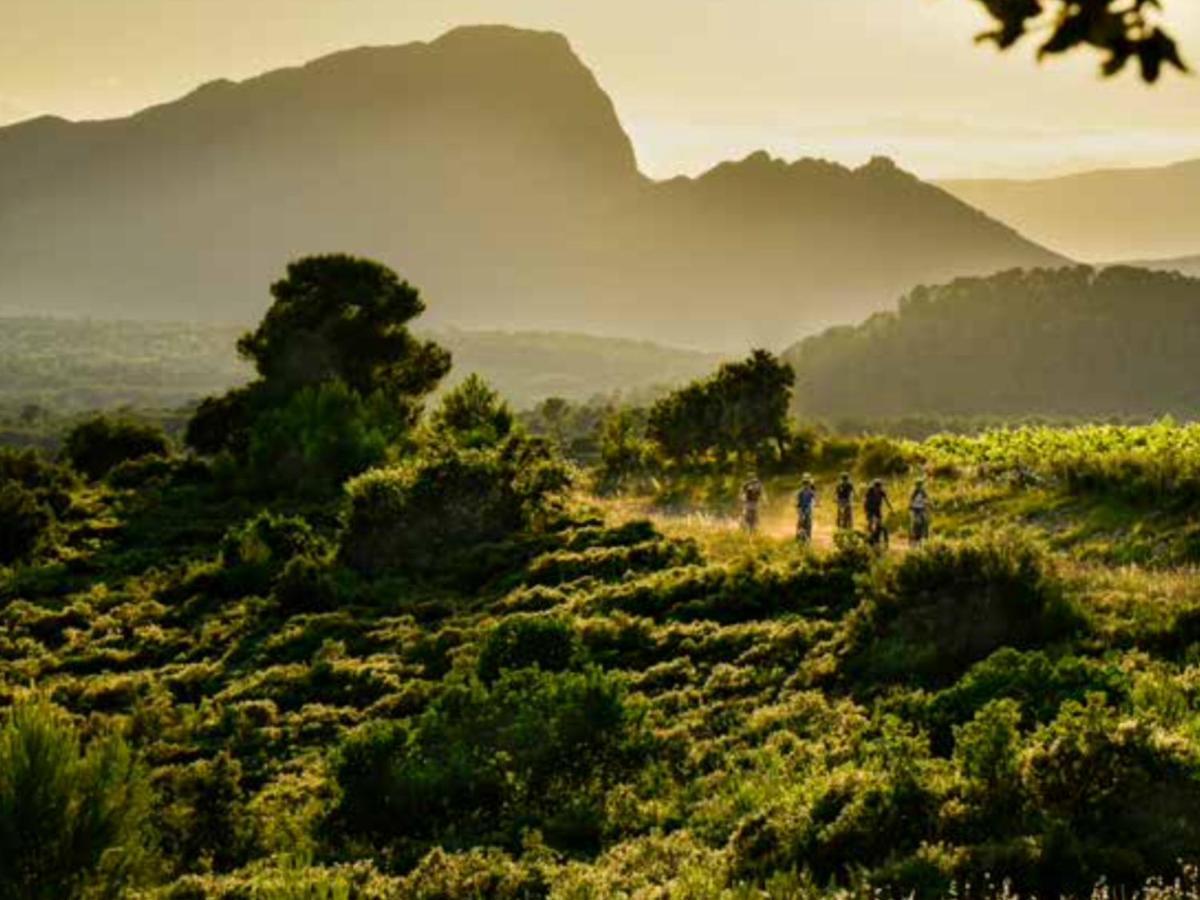 Le Castellas Du Pic St Loup Saint-Mathieu-de-Tréviers Exteriér fotografie