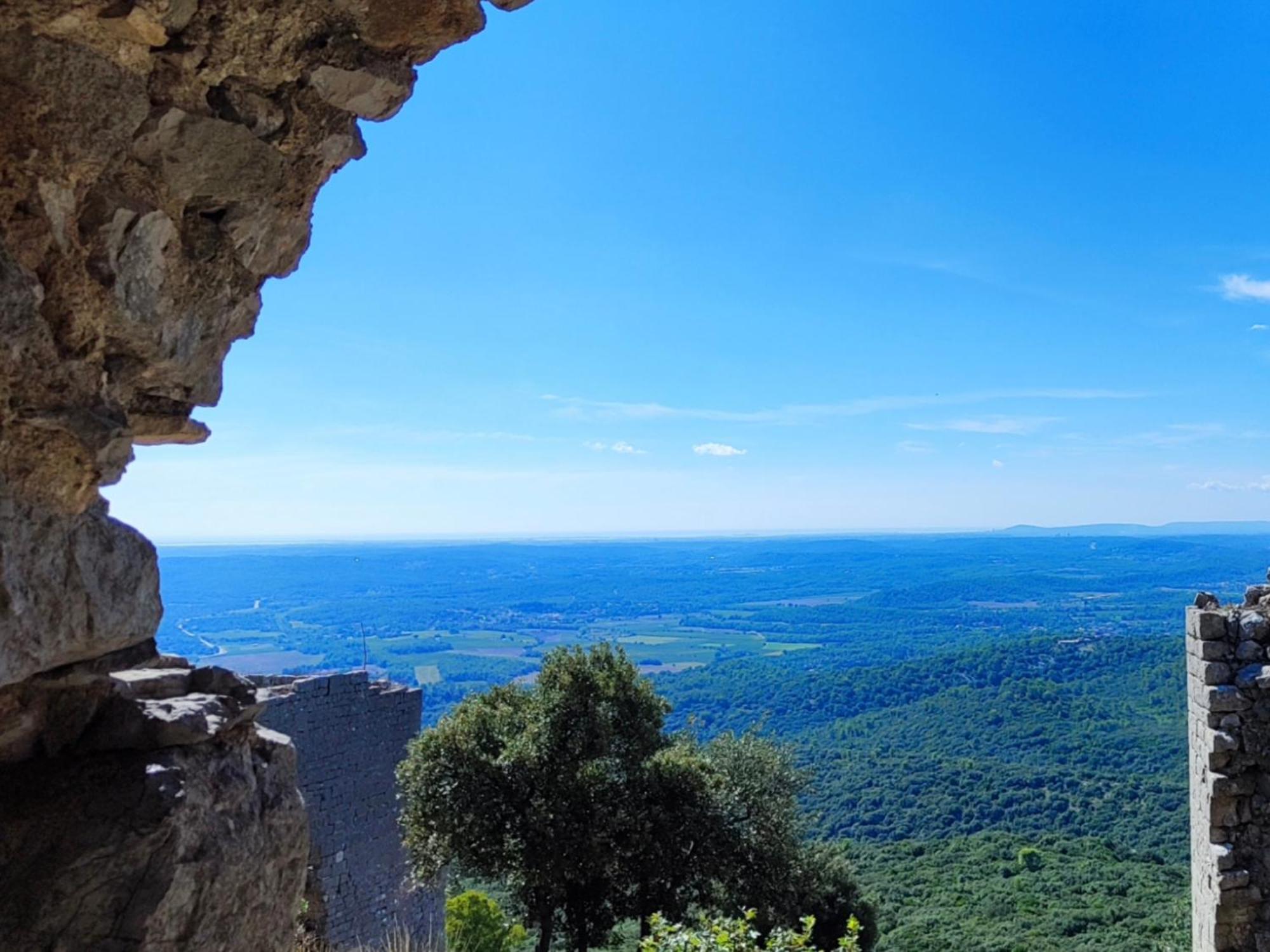 Le Castellas Du Pic St Loup Saint-Mathieu-de-Tréviers Exteriér fotografie
